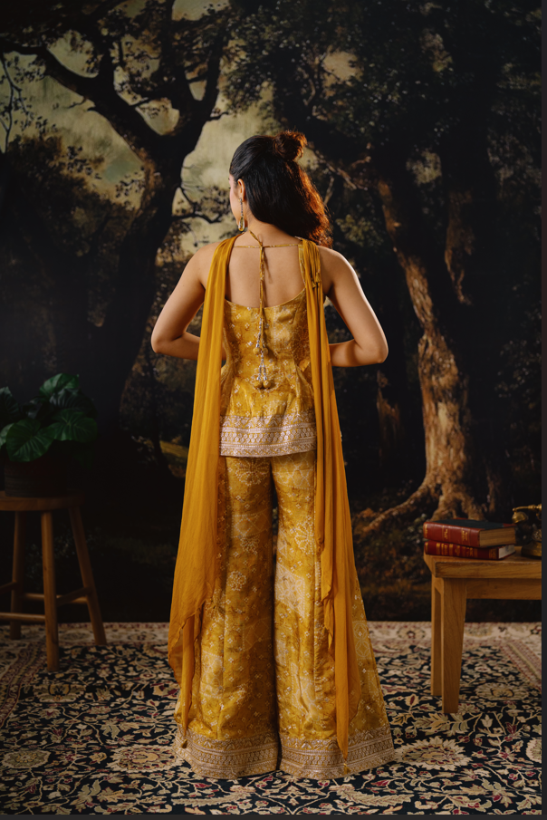 Sunlit Swirl Sharara